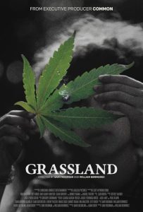 تحميل ومشاهدة فيلم Grassland 2024 مترجم نسخة حصريًا