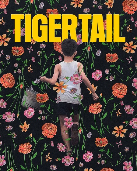 مشاهدة تحميل ومشاهدة فيلم Tigertail 2020 مترجم