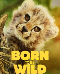 تحميل ومشاهدة مسلسل Born to be Wild الموسم الاول الحلقة 4 مترجمة نسخة حصريًا