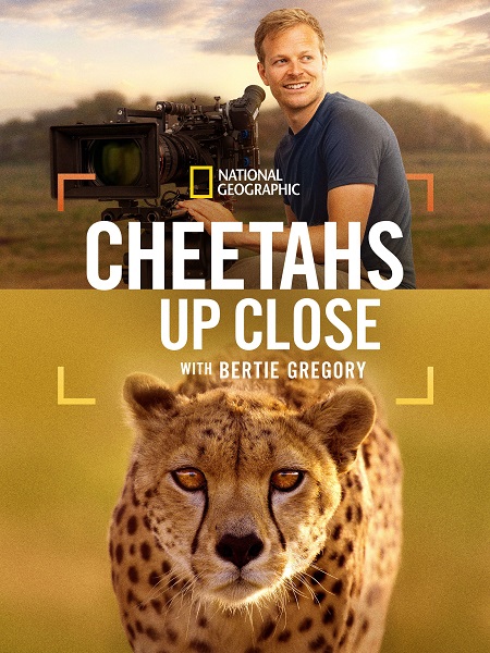 مشاهدة تحميل ومشاهدة فيلم Cheetahs Up Close with Bertie Gregory 2026 مترجم