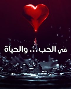 تحميل ومشاهدة مسلسل في الحب والحياة الحلقة 6